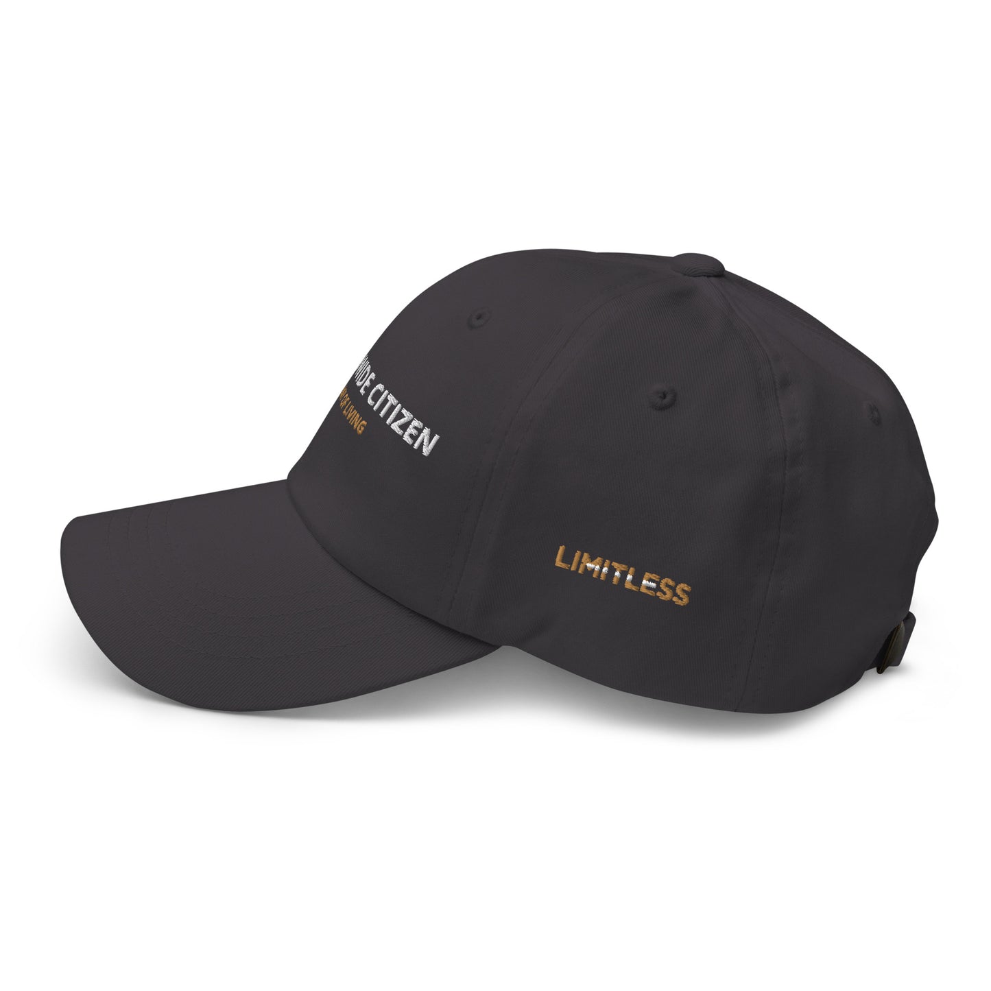 Snapback hat