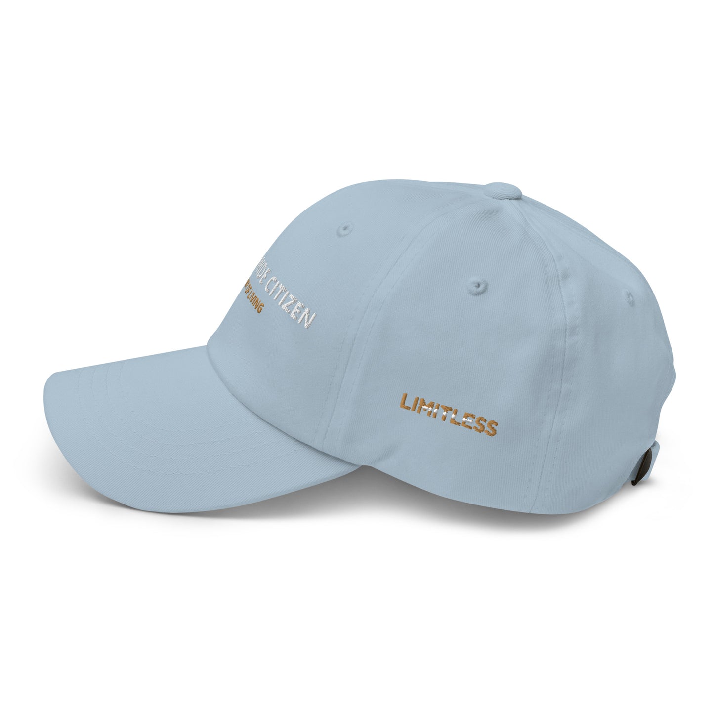 Snapback hat