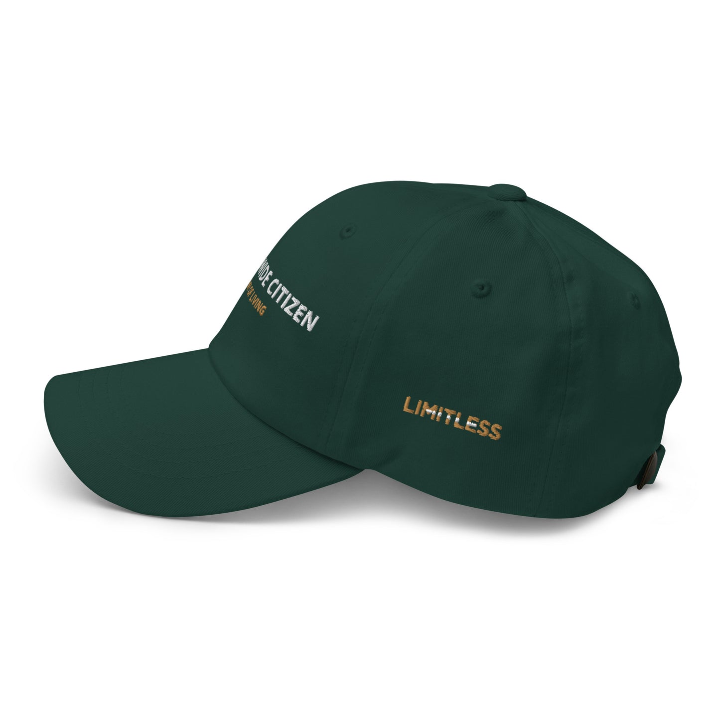 Snapback hat