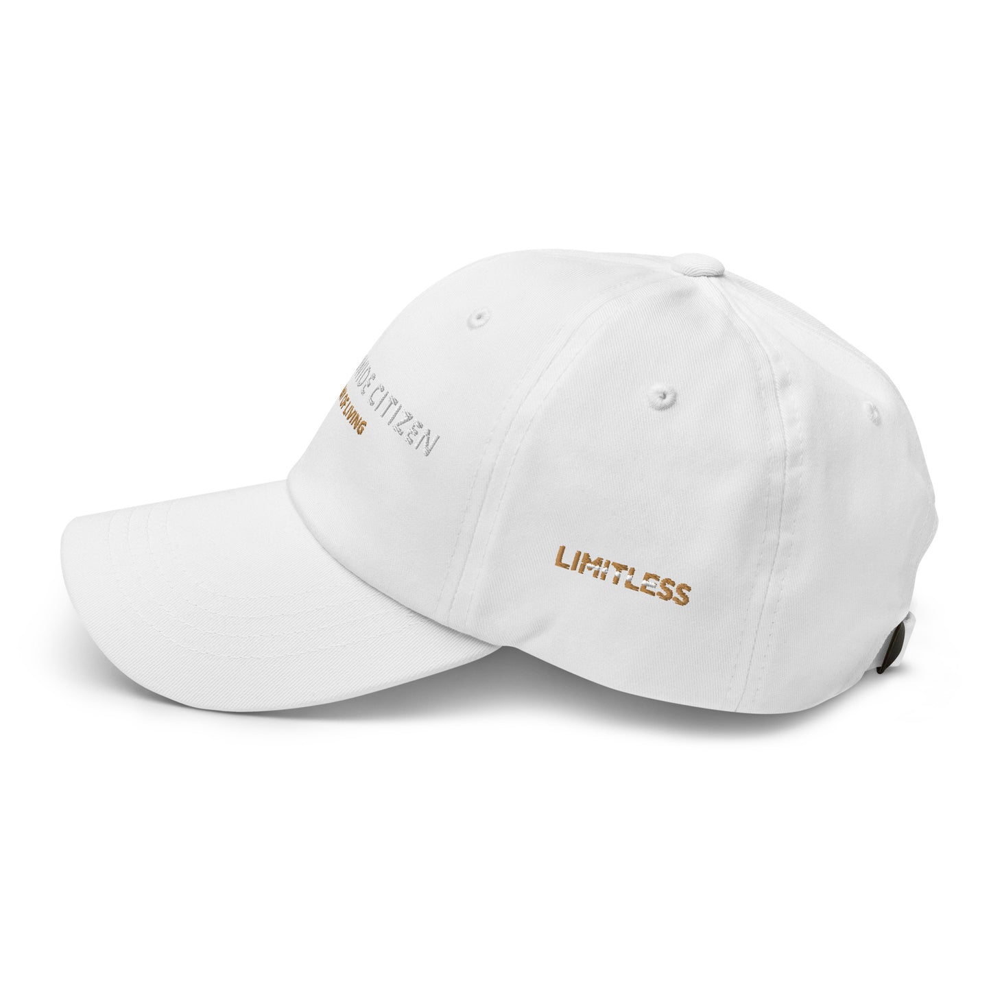 Snapback hat